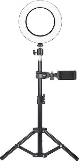 EasyPix MyStudio Studio Kit for Creators Beleuchtungsset für Studio