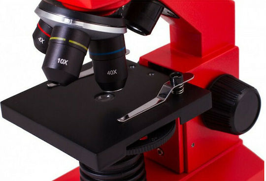 Levenhuk Rainbow 2L Plus Biological Educational Monocular Microscope 640x Orange