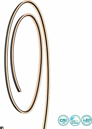Cinque Ciola LED Floor Lamp H175cm. Black