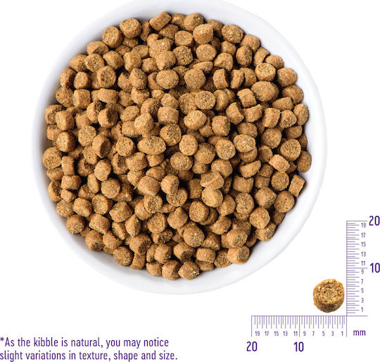 Wellness Core Grain Free Sterilised Dry Food Grain-Free & Gluten-Free for Adult Sterilized Cats with Chicken / Turkey 1.75kg