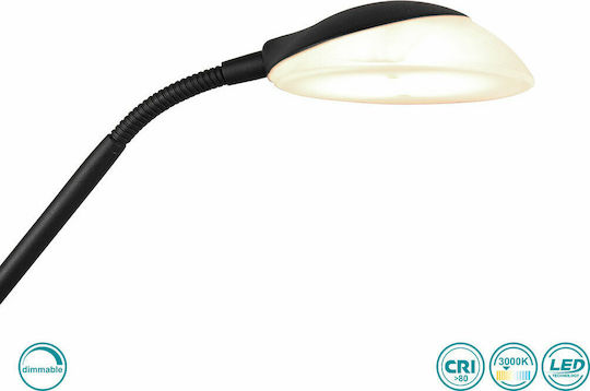 Trio Lighting Orson Vintage LED Φωτιστικό Δαπέδου Υ180xΜ57εκ. με Θερμό Λευκό Φως 2700lm Μαύρο