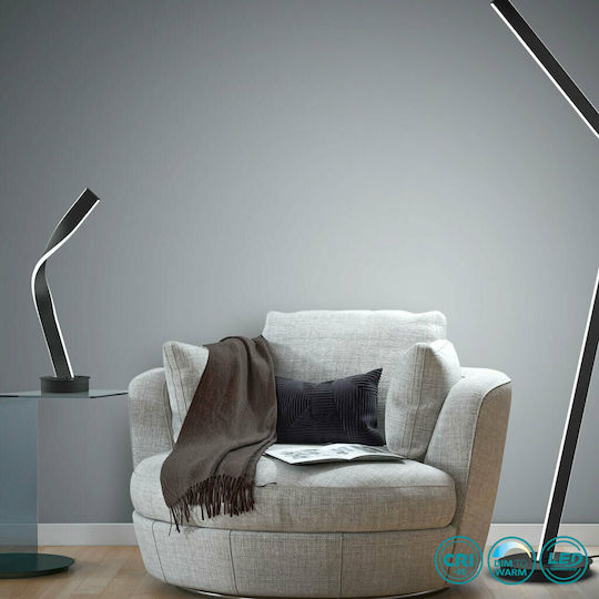 Cinque Cicenza Dekorative Lampe Schwarz