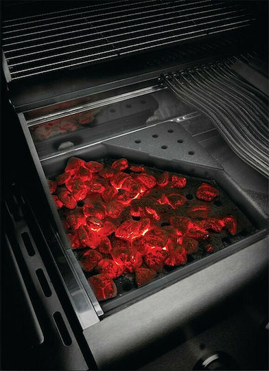 Napoleon Grillzubehör Holzkohlescheibe
