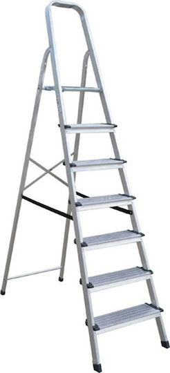 Profal Ladder Aluminum with 2+1 Steps 126pcs