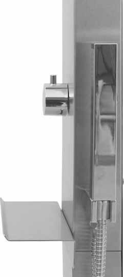vidaXL Silver Pool Shower