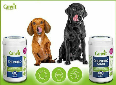 Canvit Chondro Maxi Tablets for Dogs 333 Δισκία 333 tabs