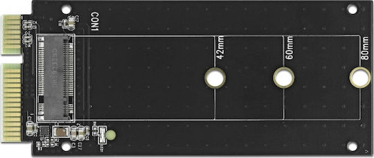 DeLock Converter 22Pin to M.2 Key B