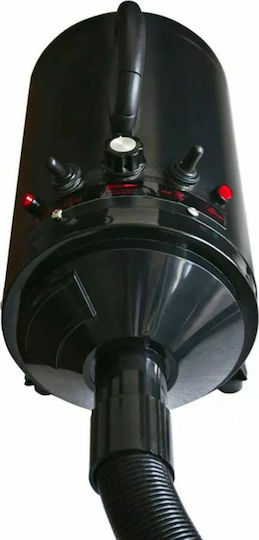 vidaXL Schwarz Trockner für Haustiere Schwarz mit 3 Düsen 2400W