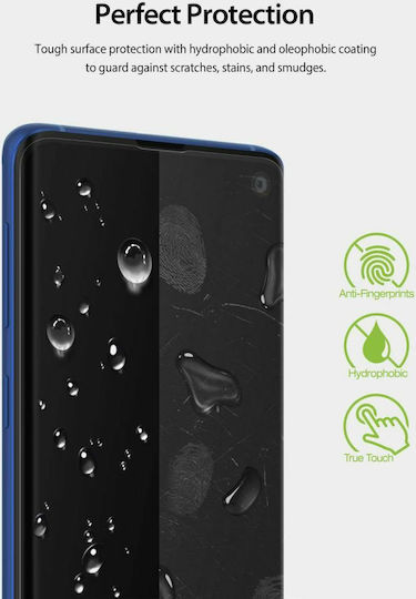 Ringke Dual Easy Screen Protector (Galaxy S10+)
