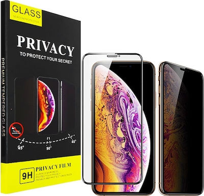 5D Privacy Full Glue Full Face Tempered Glass Black (iPhone SE 2022 / 2020 / 8 / 7)