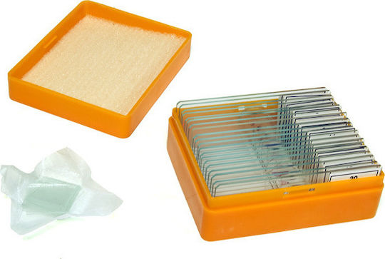 Levenhuk Lab Microscope Accessories Ready Samples - Slides N20 NG 29277