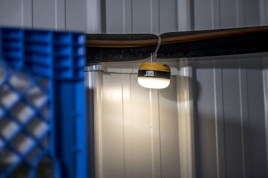 CAT Battery Workshop Light LED with Brightness up to 150lm