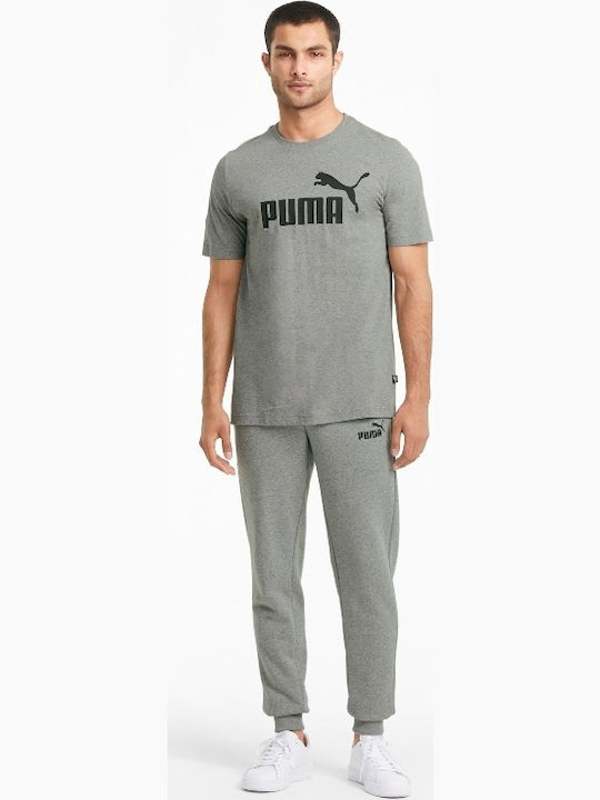 Sweatpants with Elastic Gray