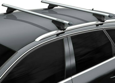 Menabo Tiger Silver 120cm. for Cars with Factory Bars (with Roof Rack Legs and Lock) Silver