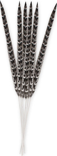 Decorative Feather Black 55cm Espiel