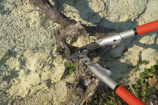 Felco 200A-40 Bypass Lopper 40cm for branches up to 35mm