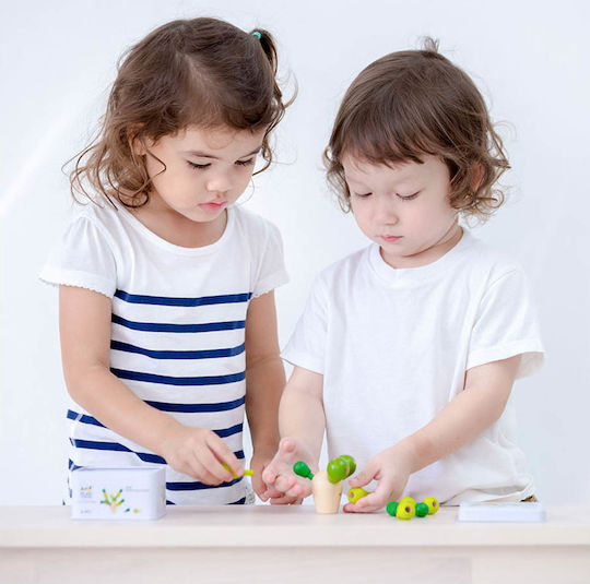 Board Game Κάκτος Ισορροπίας for 1 Player 3+ Years Old (EN) Plan Toys