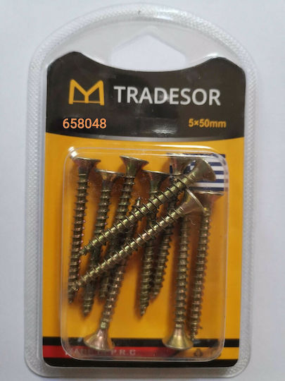 Phillips Screw with Diameter M5 and Length 50mm