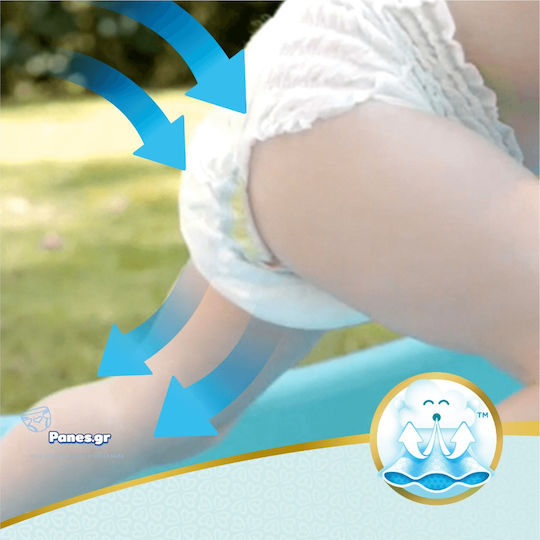 Pampers Diaper Pants Premium Care No. 6 for 15+kg 31pcs
