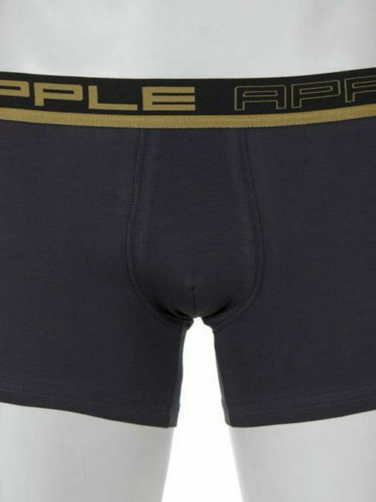 Apple Boxer Herren Boxershorts Charcoal/Gold 1Packung