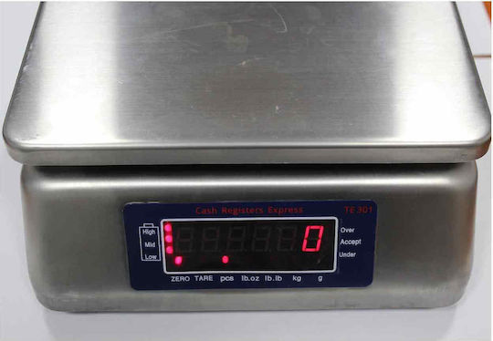 TE Tameiaki Express 301-A Electronic with Weighing Capacity of 30kg and Division 1gr
