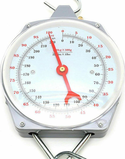 Kerbl Analog Analog Professional Hanging Scale with Weighing Capacity of 100kg and Division 500gr