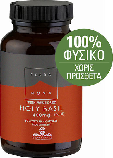 TerraNova Holy Basil 400mg Supplement for Anxiety 50 veg. caps