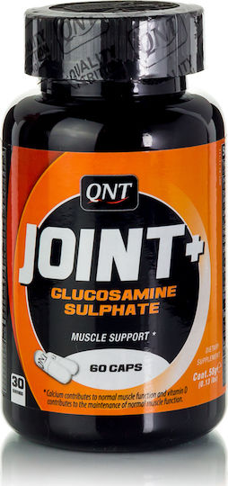QNT Joint Supplement for Joint and Bone Health 60 Capsules