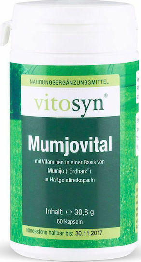 Metapharm Vitosyn Mumjovital Supplement for Immune System Support 60 Capsules