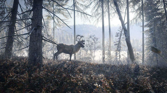 theHunter: Call of the Wild 2019 Edition PS4 Game