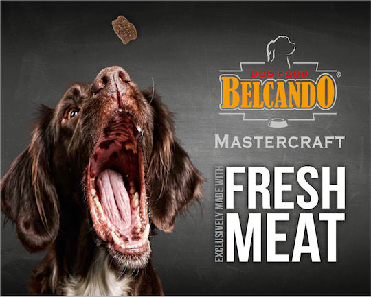 Belcando Mastercraft Fresh Salmon 2.2кг Суха Храна без Зърнени храни за Възрастни Кучета с Сьомга