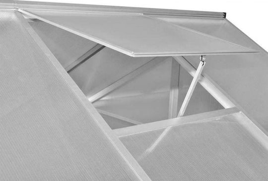 vidaXL 41319 Greenhouse House Type with Aluminum Frame 32x2.5x1.95m