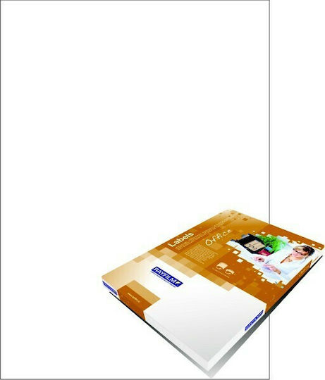 Rayfilm 100 Αυτοκόλλητες Ετικέτες Α4 Ορθογώνιες Office 210x297mm
