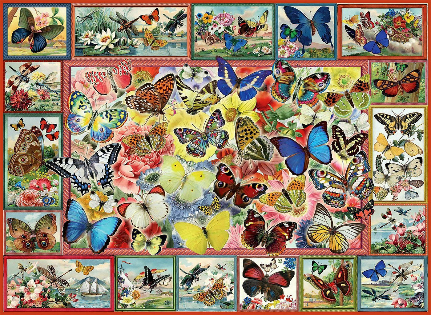 Puzzle Lots Of Butterflies Barbara Behr 2D 1000 Κομμάτια 1094 | Skroutz.gr