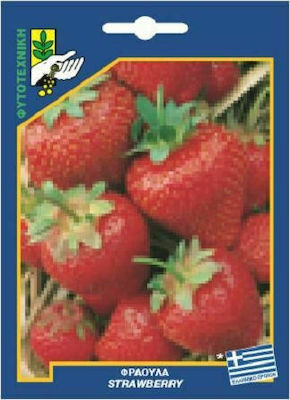 Γενική Φυτοτεχνική Αθηνών Seeds Strawberryς 5gr