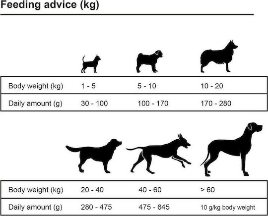 Premium Adult Active Chicken 15kg Dry Dog Food for Adult Dogs with Chicken and Fish