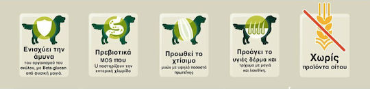 Bewi Selection Υγρή Τροφή Σκύλων σε Κονσέρβα με Μοσχάρι χωρίς Σιτηρά 400gr
