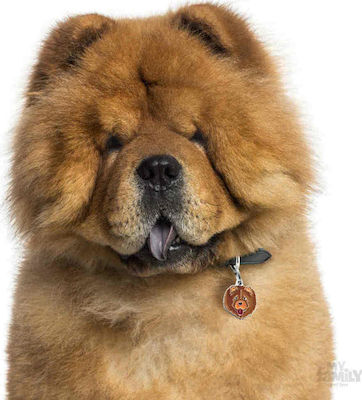 My Family Friends Chow Chow Dog ID Tag Μενταγιόν Brown