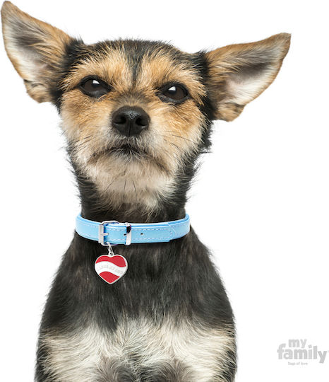 My Family Charms I Love My Dog Hunde-Identifikationsmarke Herz Rote Metallische Personalisierung