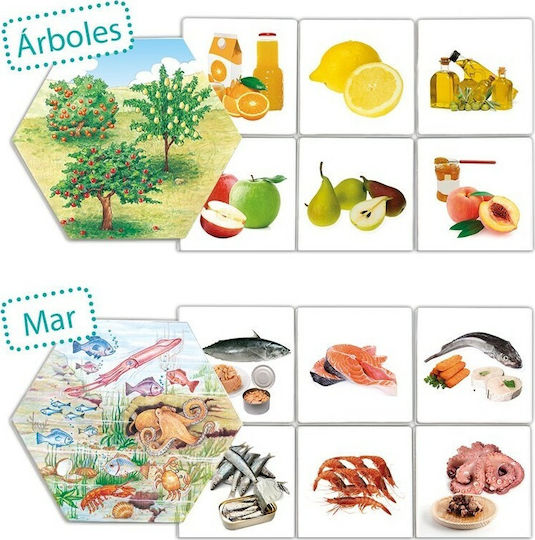 Akros Where Does Food Come From? Εκπαιδευτικό Παιχνίδι Γνώσεων για 3-6 Ετών