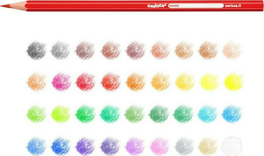 Carioca Colored Pencils Colored Pencil Set Package of 1 packages