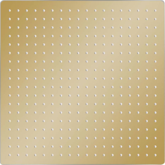 vidaXL Τετράγωνη Κεφαλή Ντουζ 50x50cm