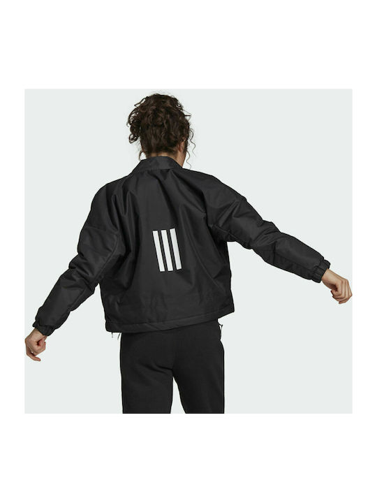 Adidas Back to Sport Light Insulated Scurt Jachetă de femei Jachetă bomber Negru