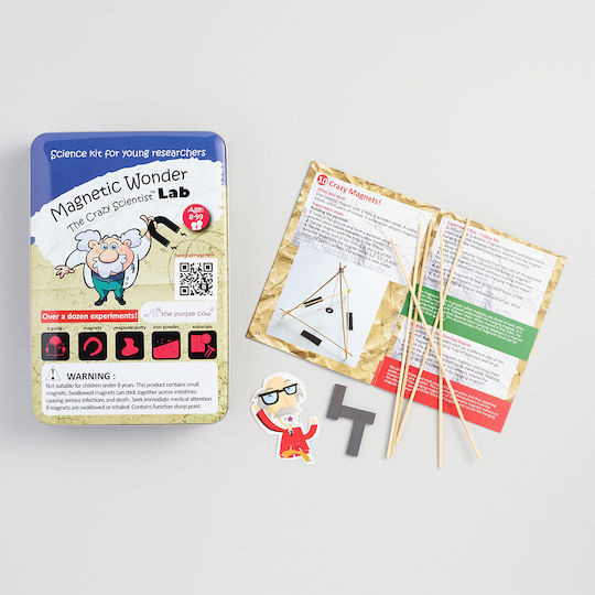 Purple Cow Εργαστήριο Μαγνήτες STEM Educational Game Experiments for 8+ years old Years Old