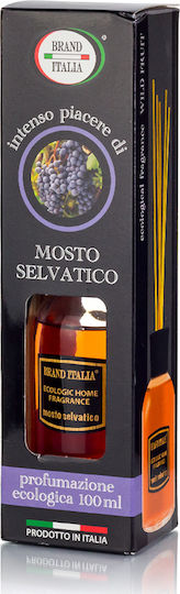 Brand Italia Diffuser Eco-friendly with Fragrance Fruits of the Forest BR076-16 100ml