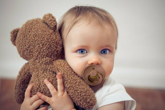 Bibs Colour Pacifiers Rubber Woodchuck / Blush for 0-6 months 2pcs