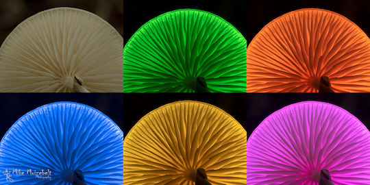 Nanlite Pavotube 6C II LED Light 2700 - 7500K 6W με Φωτεινότητα LUX 183 Lux με μπαταρία