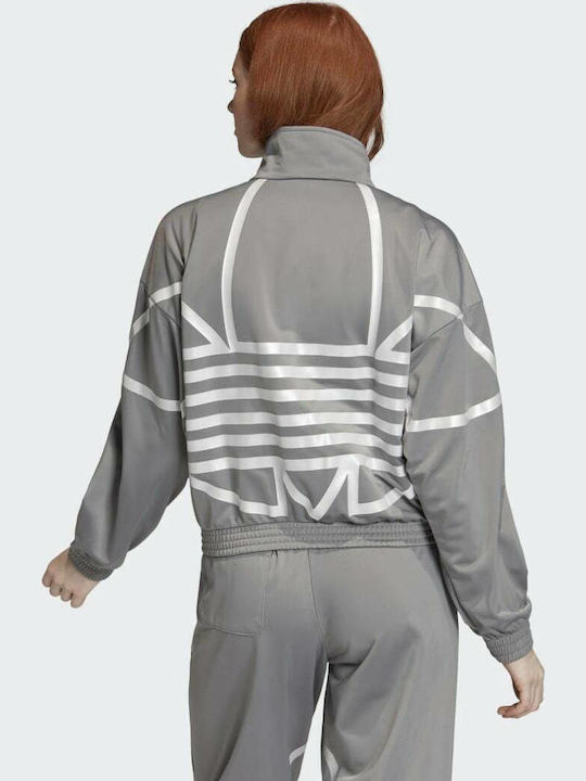 adidas adidas