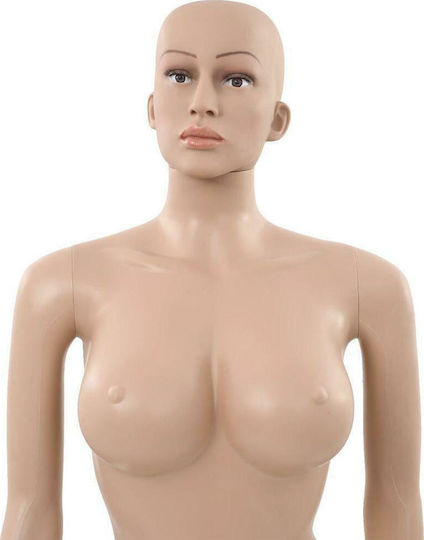 vidaXL Display Mannequin 142930