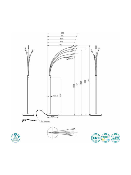 Trio Lighting Reed LED Φωτιστικό Δαπέδου Υ195.5xΜ30.5εκ. με Θερμό Λευκό Φως 350lm Μαύρο